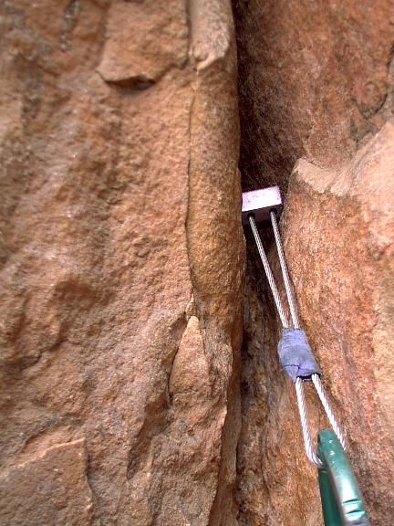 Nut in a crack, close up