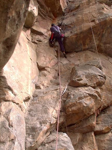 On the pale wall, with the rope below