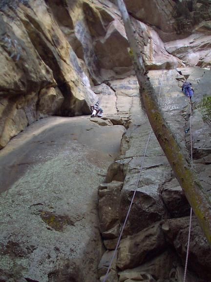 Slabs and dihedrals by the big tree
