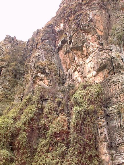 The whole band of the Rocks seen from the valley