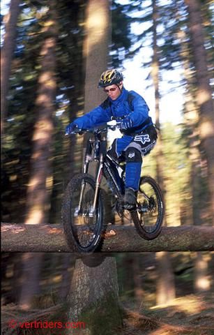 Mountain bike in the woods